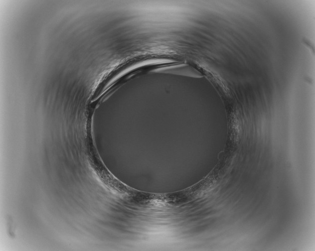 X0000100890496200807011200