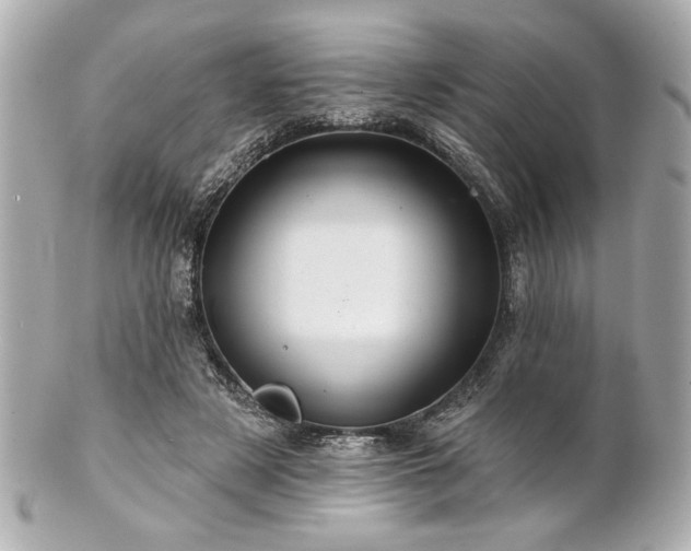 X0000100890497200807011200