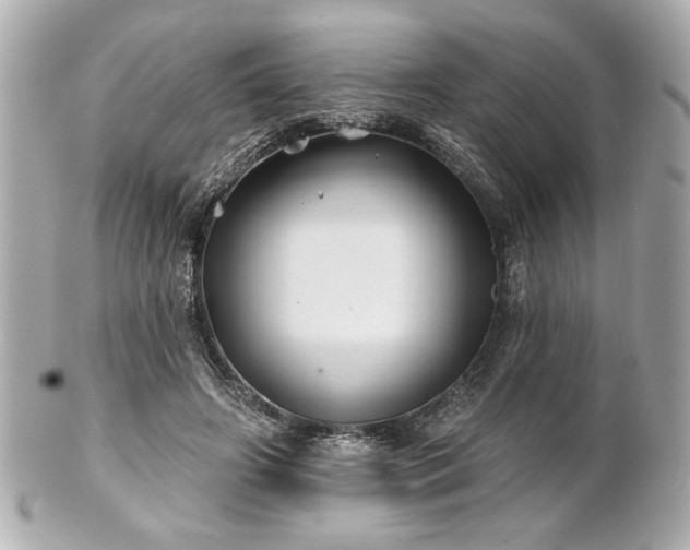 X0000100890498200807011200