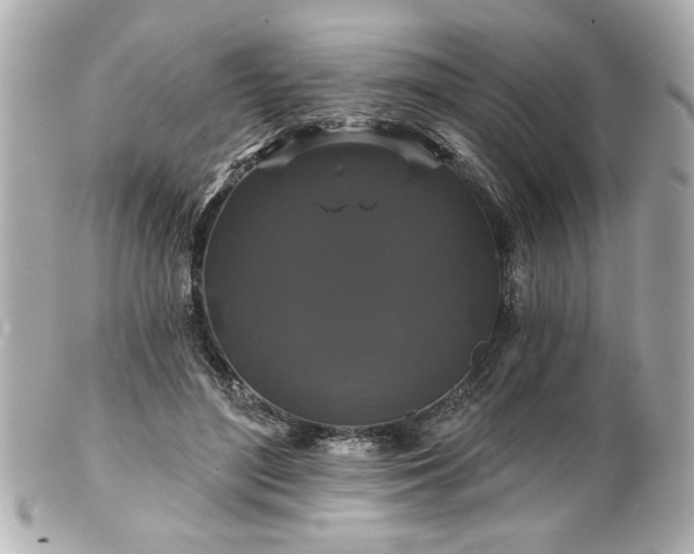 X0000100890500200807011200