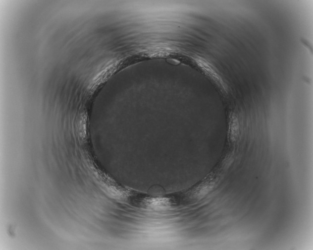 X0000100890501200807011200