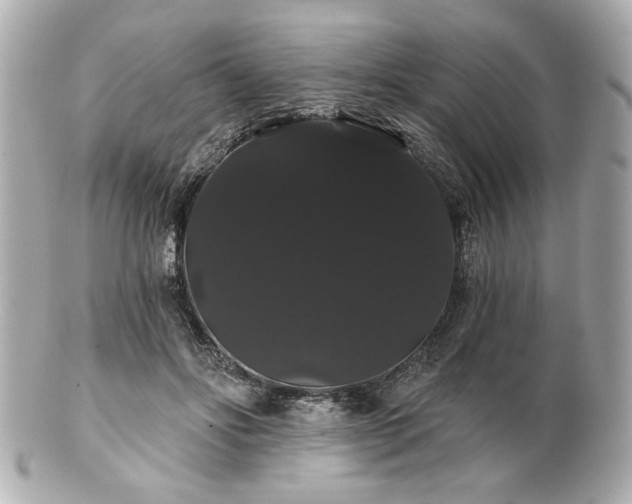 X0000100890502200807011200