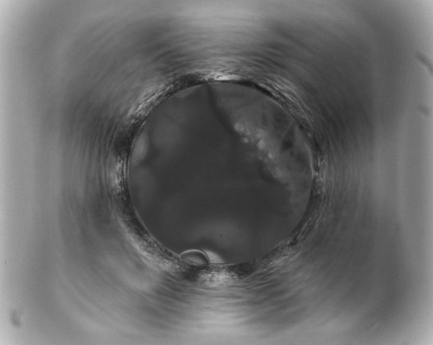 X0000100890503200807011200