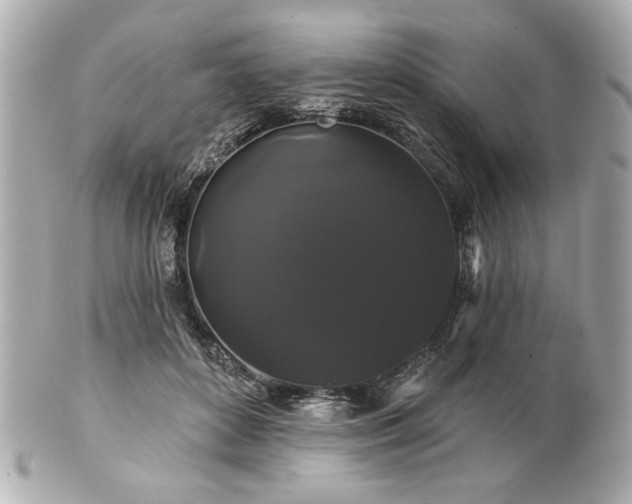 X0000100890504200807011200