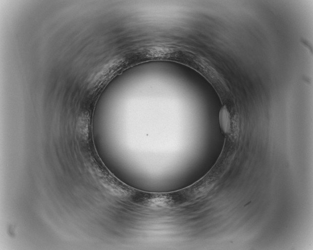 X0000100890505200807011200