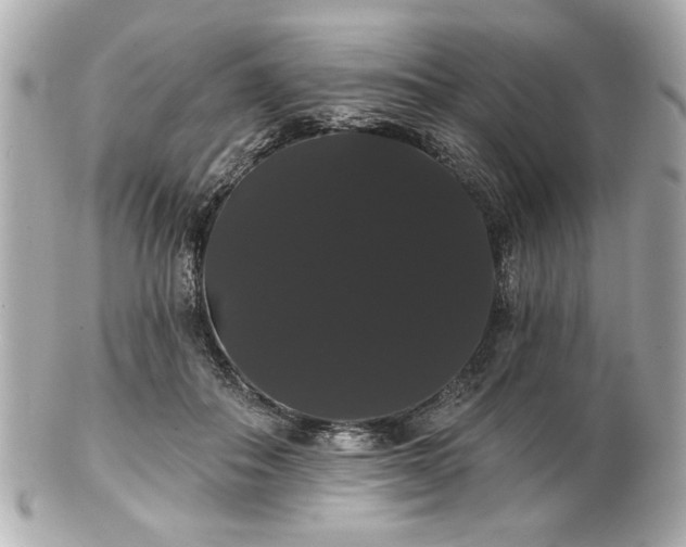 X0000100890506200807011200