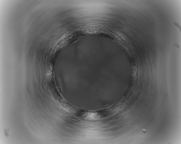 X0000100890507200807011200