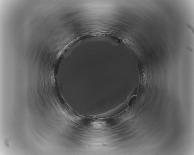 X0000100890508200807011200