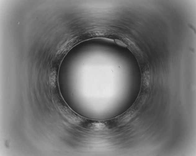 X0000100890509200807011200