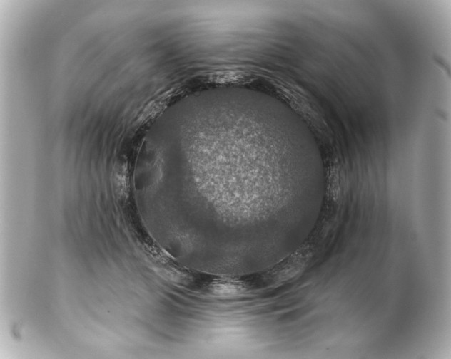 X0000100890510200807011200