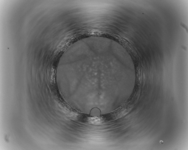 X0000100890511200807011200