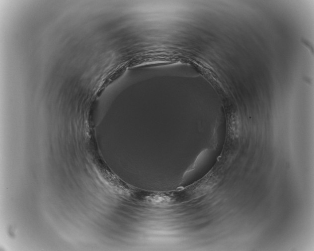 X0000100890512200807011200