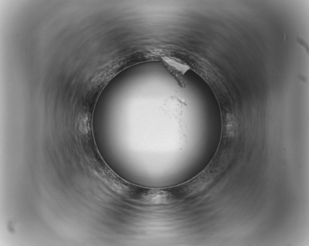 X0000100890514200807011200