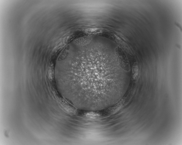 X0000100890515200807011200