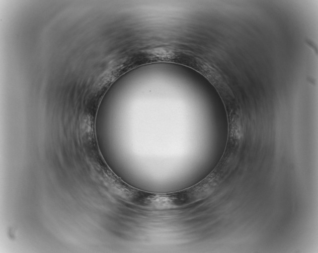 X0000100890518200807011200