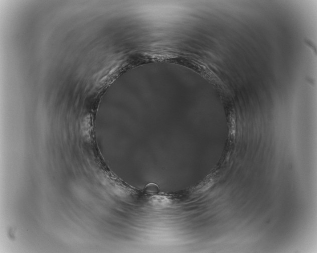 X0000100890519200807011200