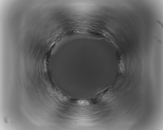 X0000100890520200807011200