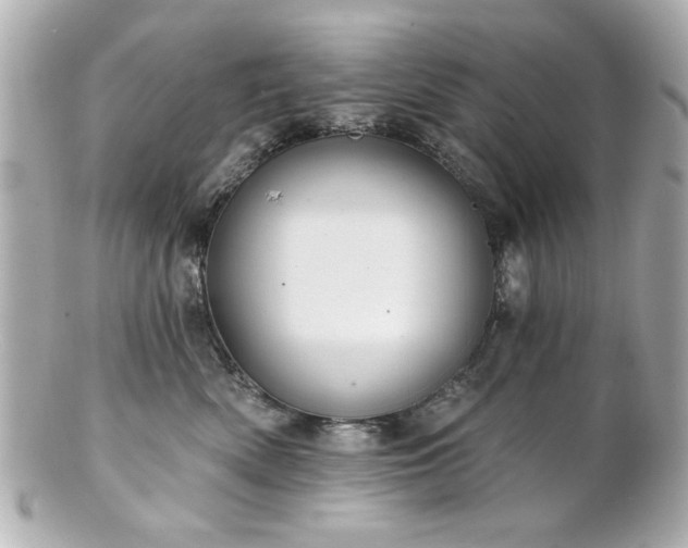 X0000100890522200807011200
