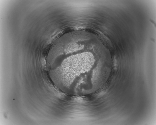 X0000100890523200807011200