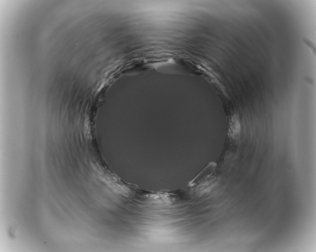 X0000100890524200807011200