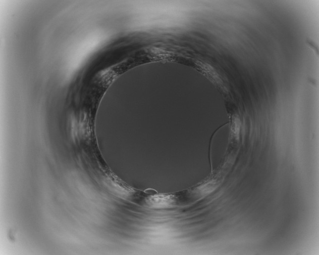 X0000100890526200807011200