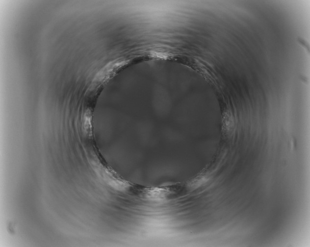 X0000100890527200807011200