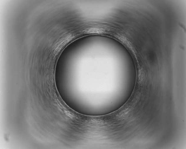 X0000100890529200807011159