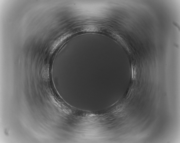 X0000100890531200807011159