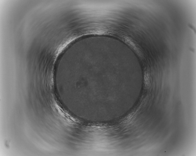 X0000100890532200807011159
