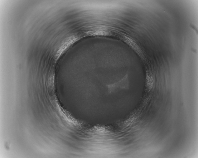 X0000100890534200807011159