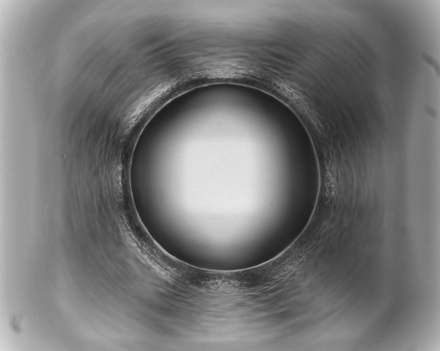X0000100890535200807011159