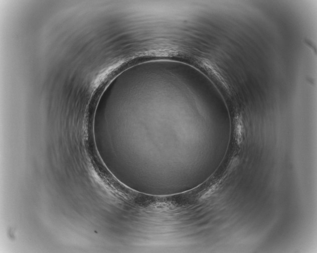 X0000100890536200807011159