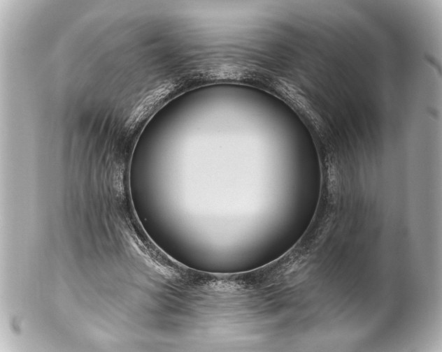 X0000100890537200807011159