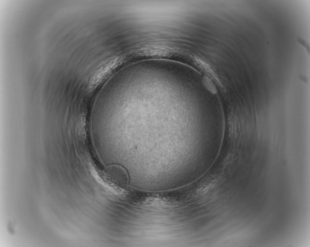 X0000100890538200807011159