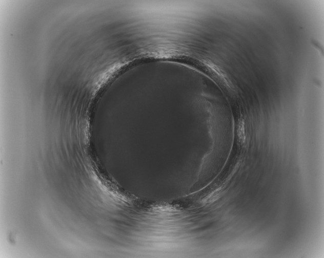 X0000100890540200807011159