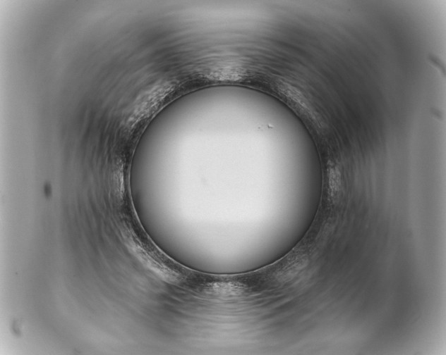 X0000100890541200807011159