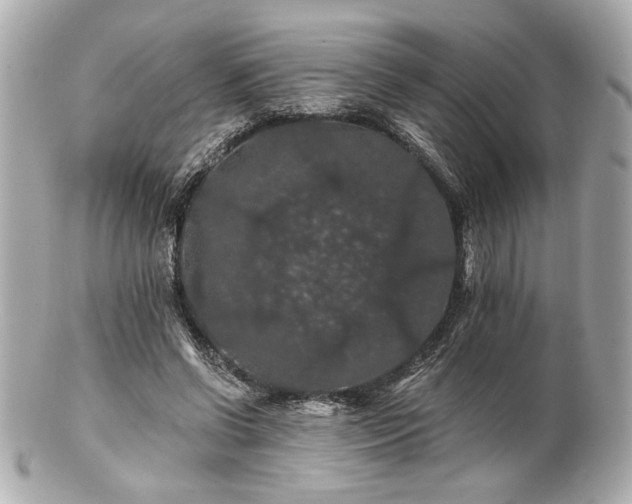 X0000100890542200807011159