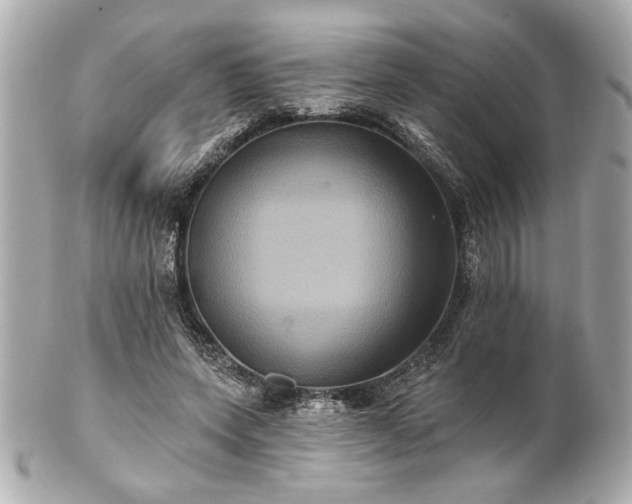 X0000100890543200807011159