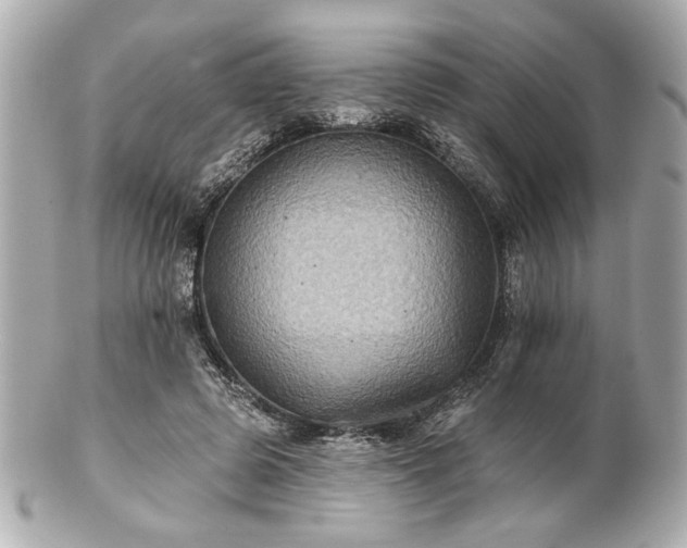 X0000100890545200807011159