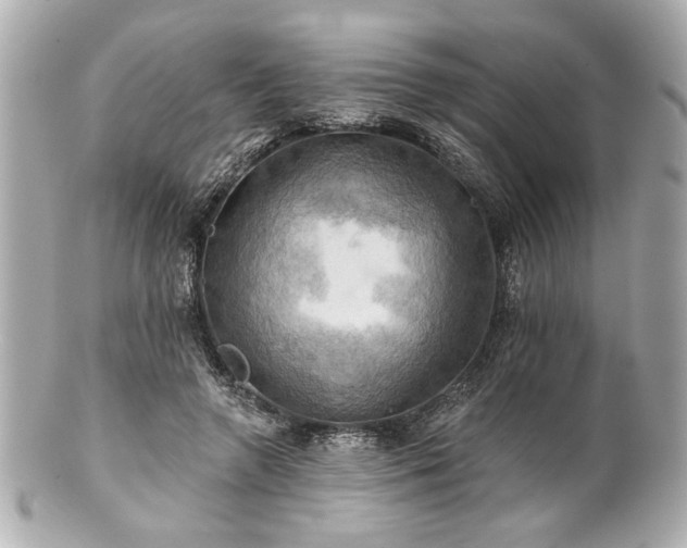 X0000100890546200807011159