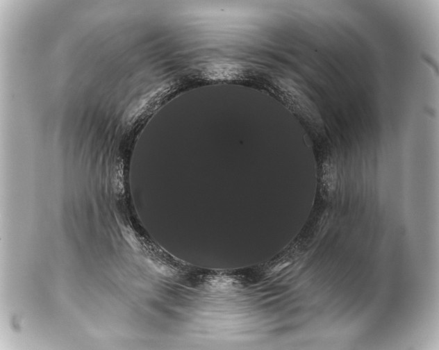 X0000100890547200807011159