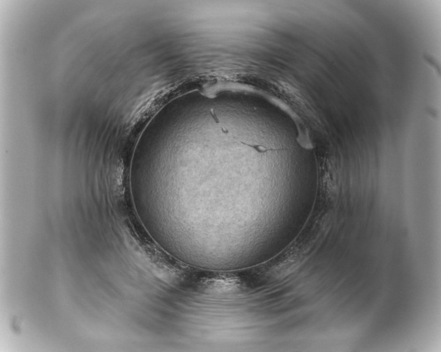 X0000100890548200807011159