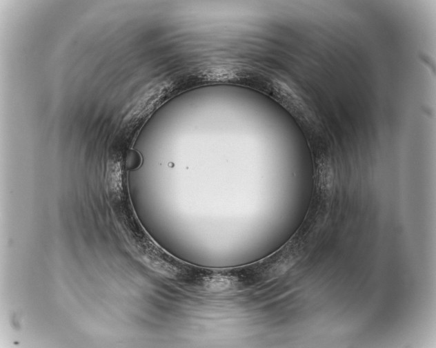 X0000100890549200807011159