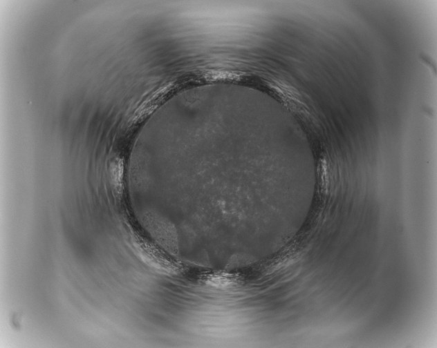 X0000100890550200807011159