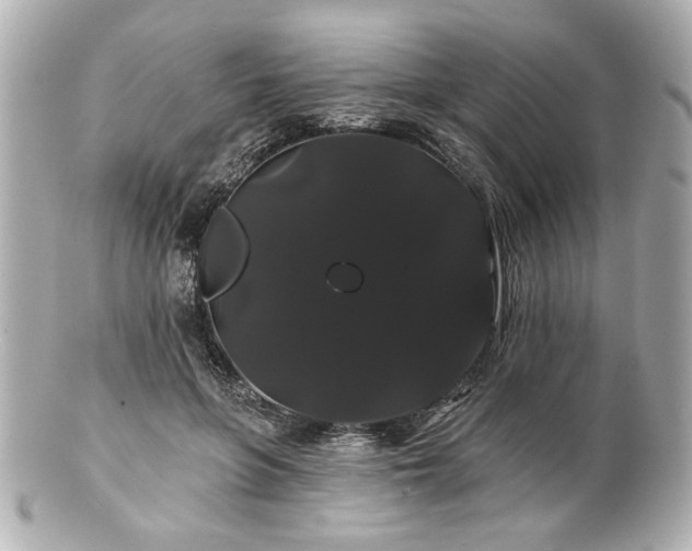 X0000100890551200807011159
