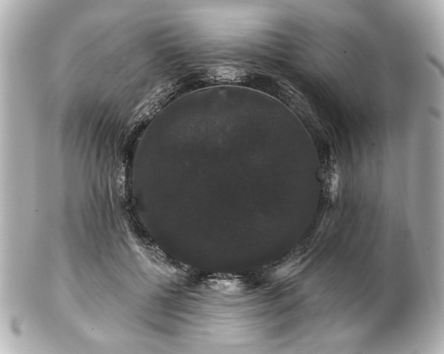 X0000100890552200807011159