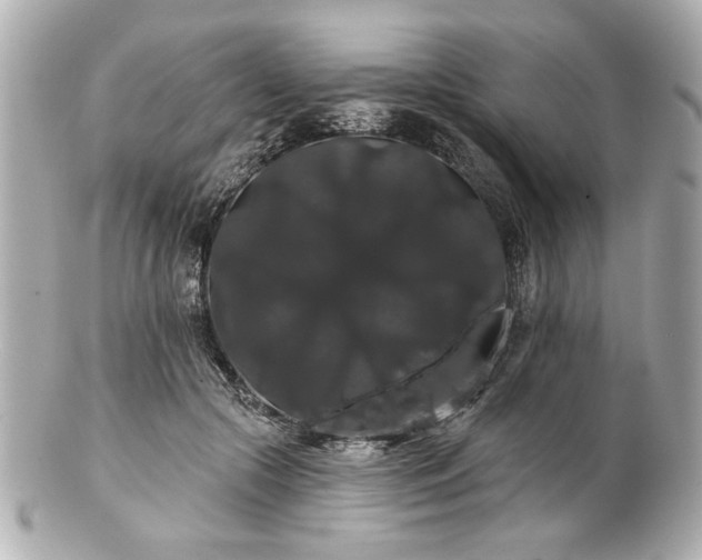 X0000100890553200807011159