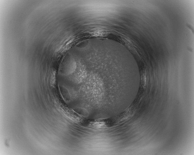X0000100890554200807011159
