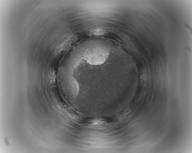 X0000100890555200807011159