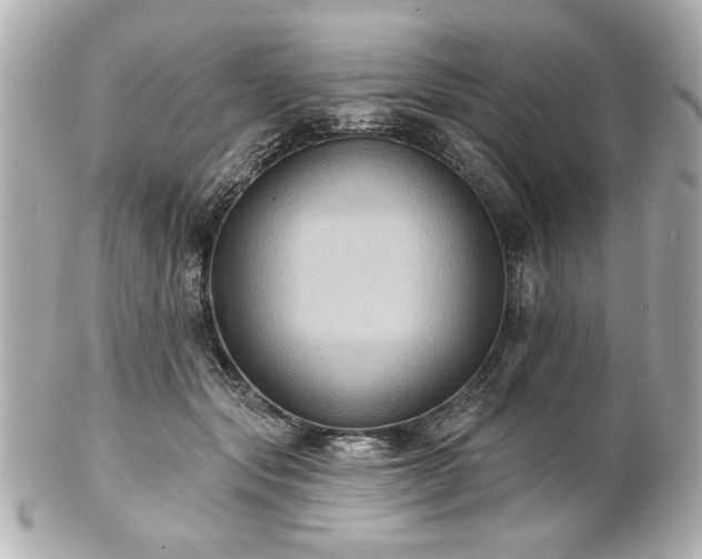 X0000100890557200807011159